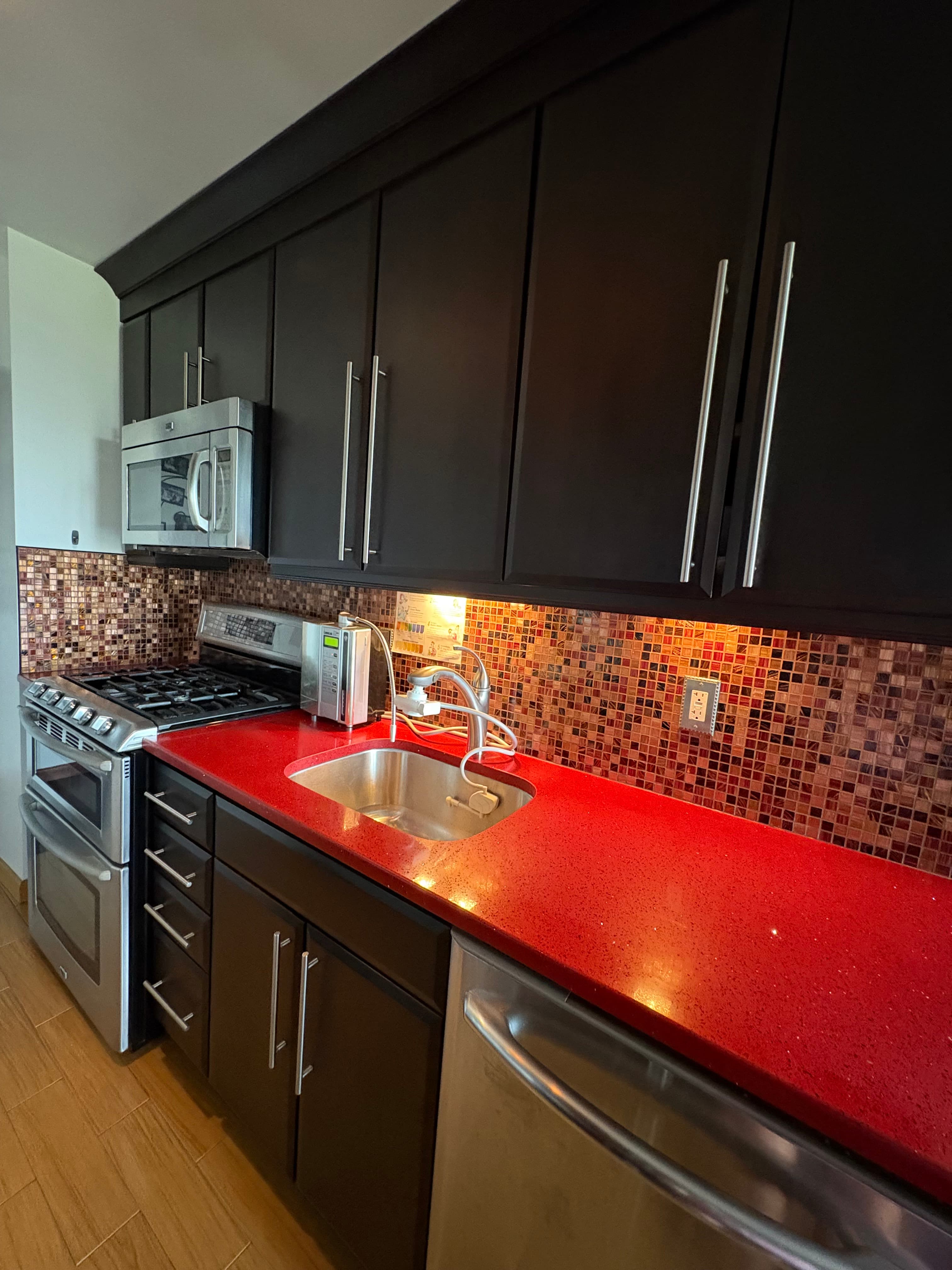 Dark Kitchen with Red Quartz